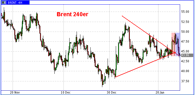 Die Bullen scharren gar nicht mit den Hufen, 212973