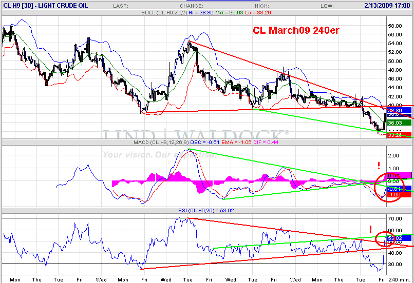 Die Bullen scharren gar nicht mit den Hufen, 216610