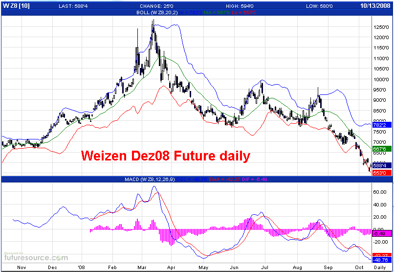 Die Bullen scharren gar nicht mit den Hufen, 192520