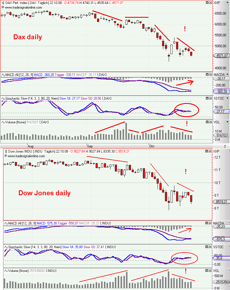 Die Bullen scharren gar nicht mit den Hufen, 194573