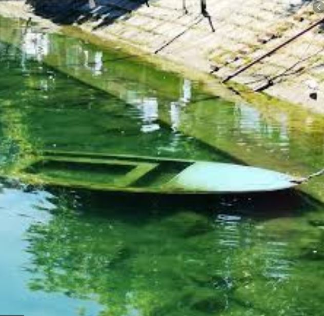 Börse ein Haifischbecken: Trade was du siehst 1254089