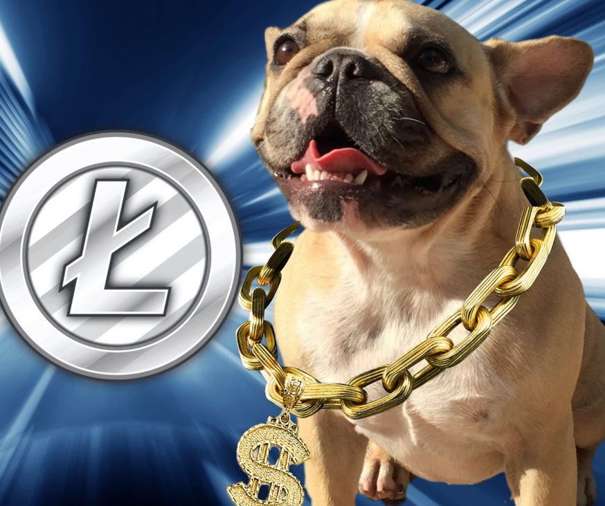 Netcents Technology Thread moderiert A2AFTK 1096989