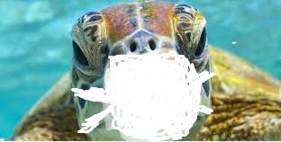 Netcents Technology Thread moderiert A2AFTK 1097831