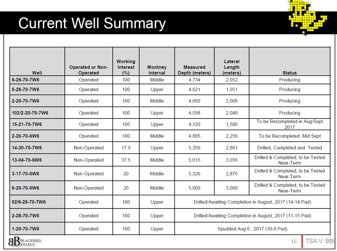 Firmen HP Blackbird Energy INC 1008098