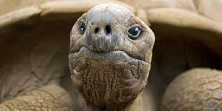 Deutsche Bank (moderiert 2.0) 1046513