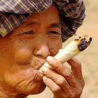 Netcents Technology Thread moderiert A2AFTK 1070955