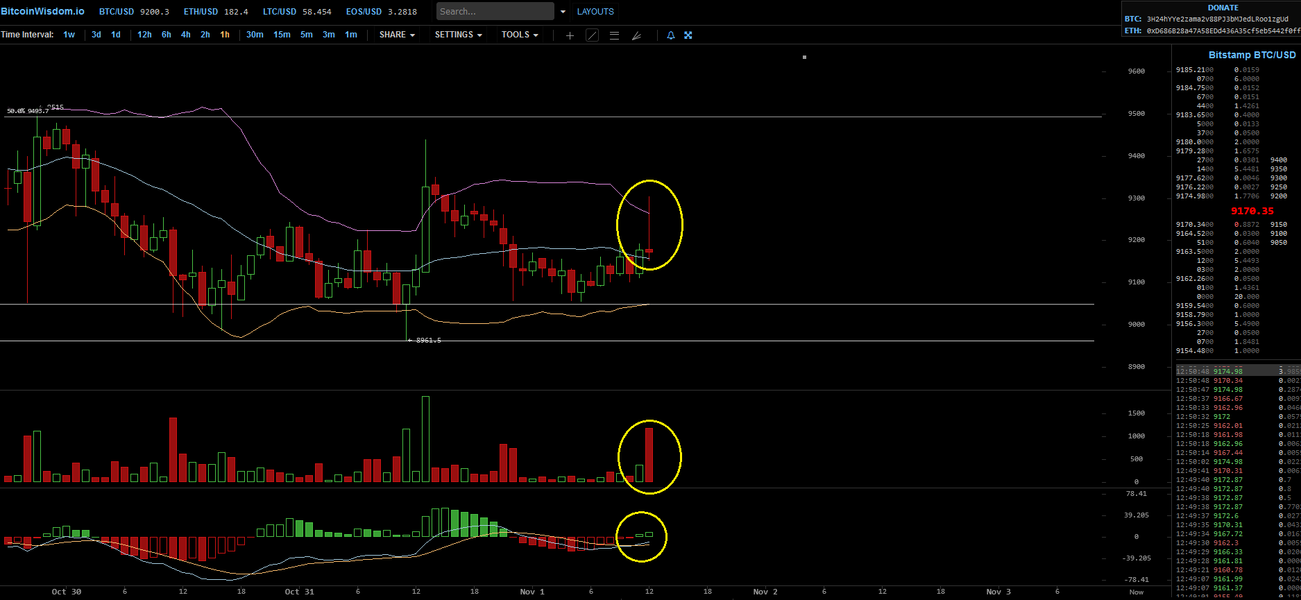 Bitcoins der nächste Monsterhype steht bevor! 1142100