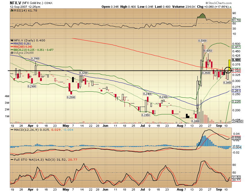 NFX Gold Inc. 119848