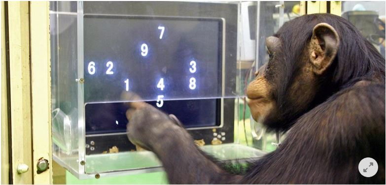 Börse ein Haifischbecken: Trade was du siehst 1223769