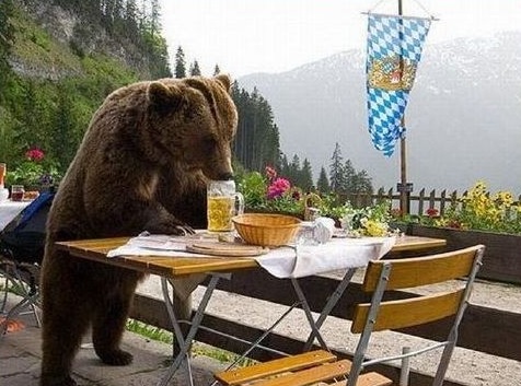 Börse ein Haifischbecken: Trade was du siehst 1233514