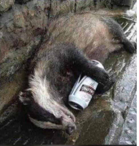 Börse ein Haifischbecken: Trade was du siehst 1242262