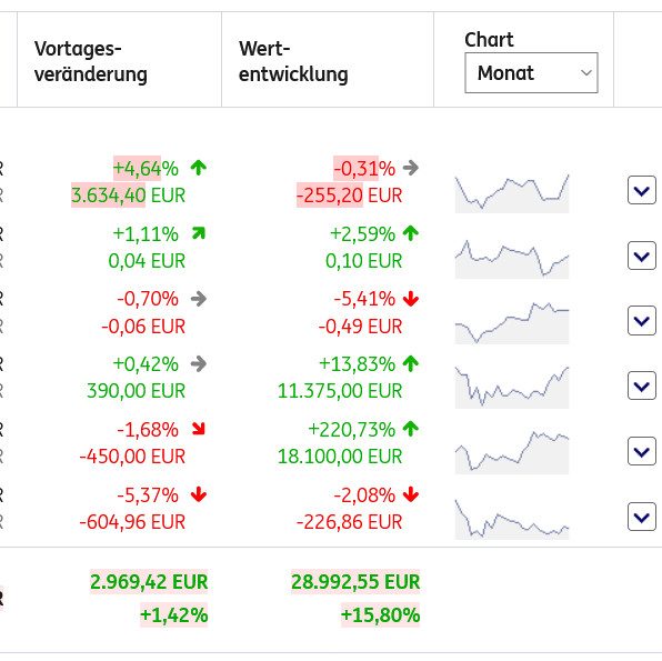 PAION Eine Fledermaus lernt wieder fliegen 1243772