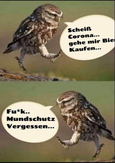 Börse ein Haifischbecken: Trade was du siehst 1244129