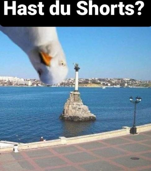 Börse ein Haifischbecken: Trade was du siehst 1244174