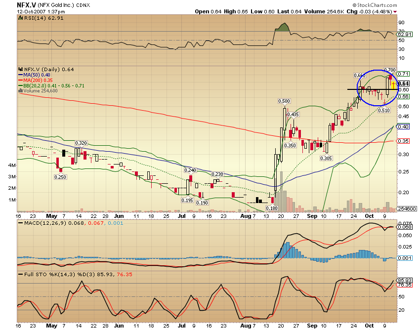 NFX Gold Inc. 125230