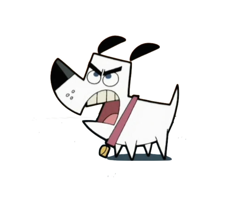 PAION Eine Fledermaus lernt wieder fliegen 1252873