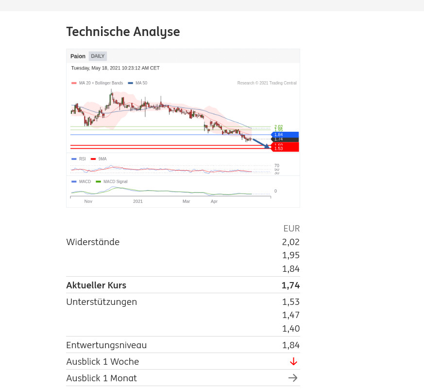 PAION Eine Fledermaus lernt wieder fliegen 1253911