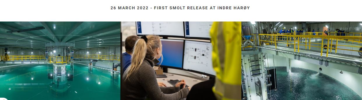 Salmon Evolution - landbasierte Lachszucht 1323166