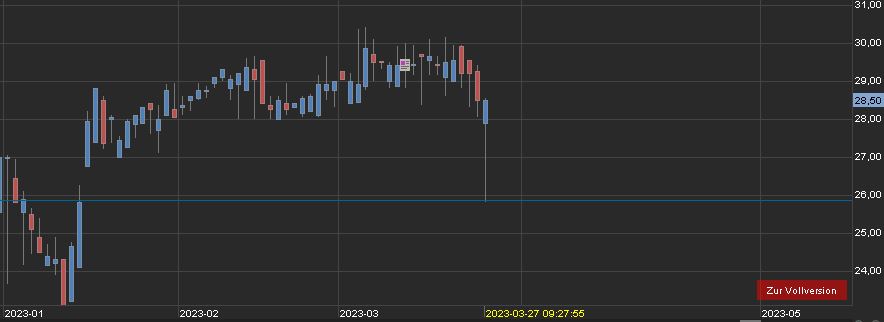 SNP auf dem Weg zu einer software company 1364318