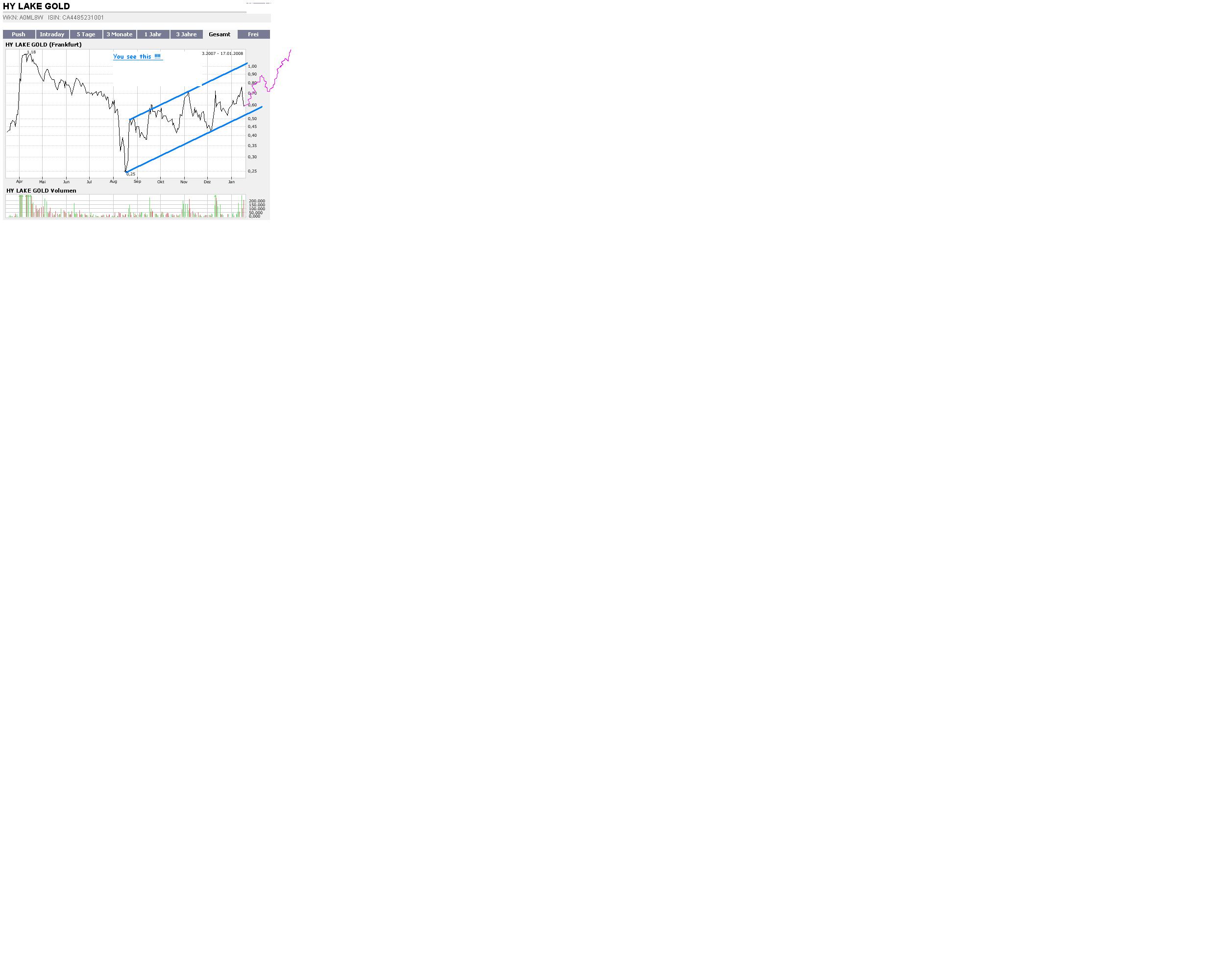 Explosion bei Hy Lake Gold 142168