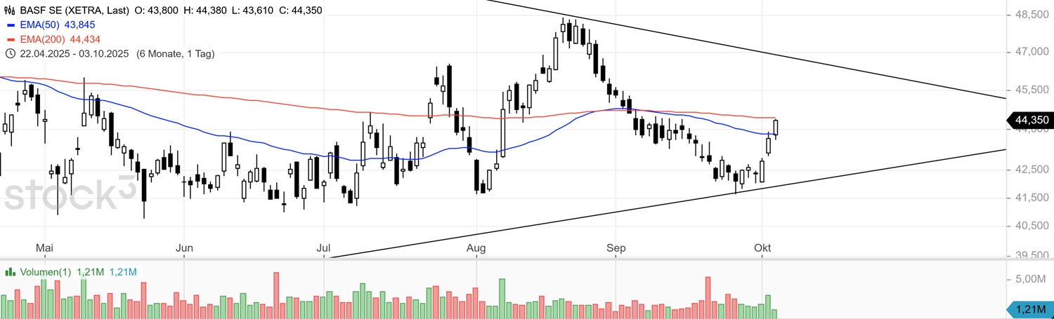 Die letzten Kostolany-Mohikaner:BASF,Siemens,MüRü? 1497348