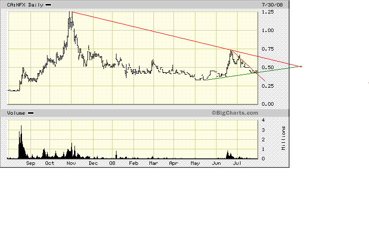 NFX Gold Inc. 177532