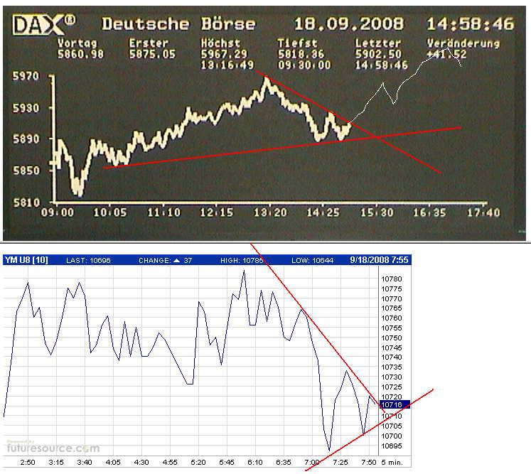 Die Bullen scharren gar nicht mit den Hufen, 187253