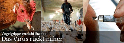 5000%mit Wasser, Alternativtreibstoffe u.a.. 26279