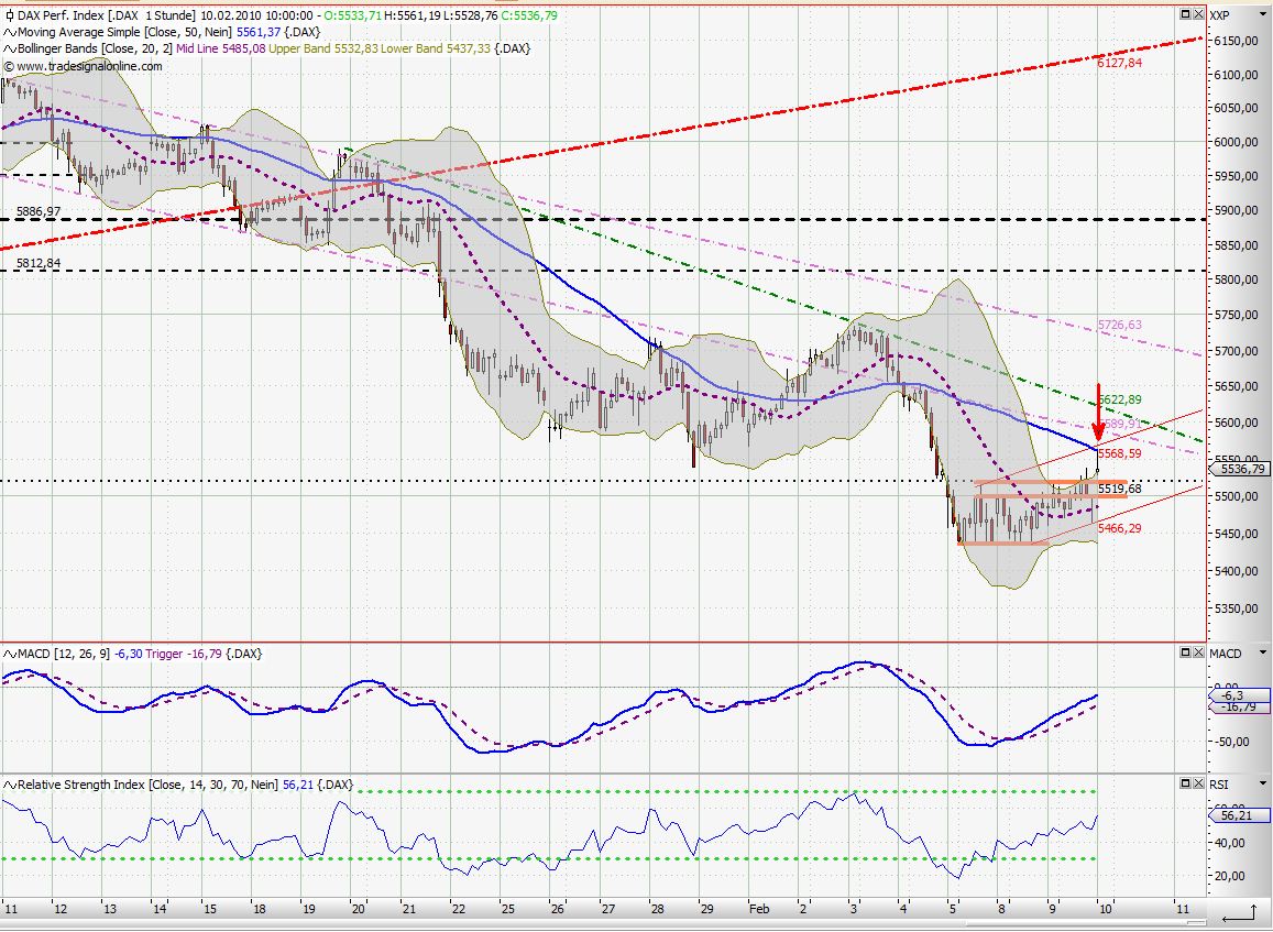 Quo Vadis Dax 2010 - Das Original 298505
