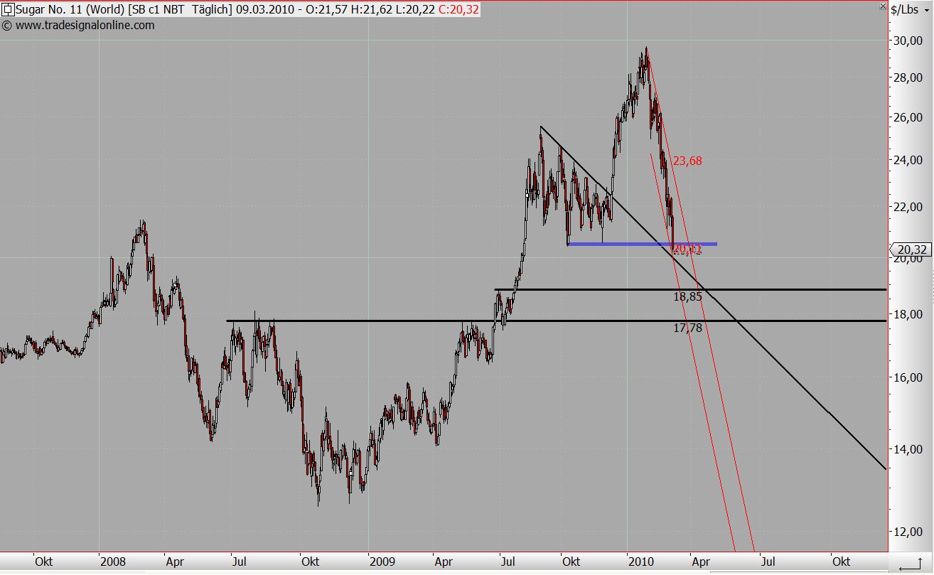 Die Zuckerhausse kommt 305361