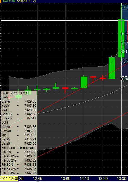 Quo Vadis Dax 2011 - All Time High? 370978