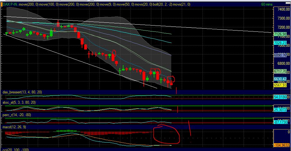 Quo Vadis Dax 2011 - All Time High? 427059