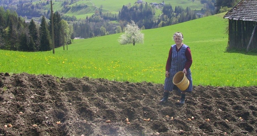 Quo Vadis Dax 2011 - All Time High? 453329