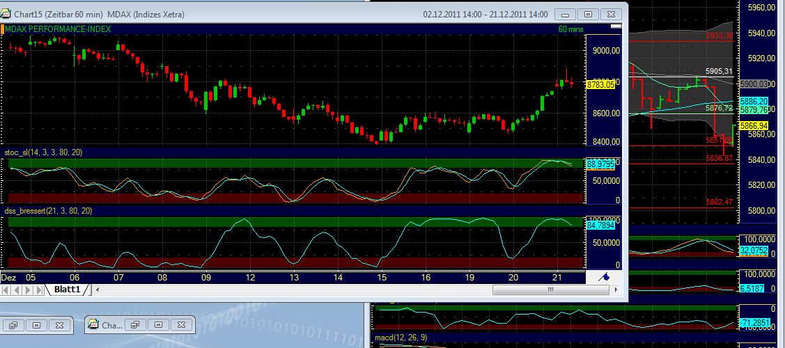 Quo Vadis Dax 2011 - All Time High? 469839