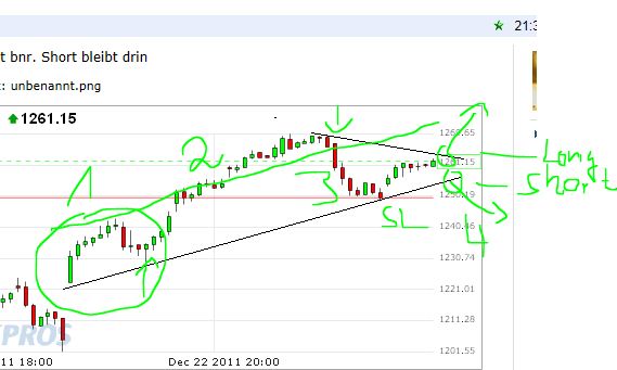 Quo Vadis Dax 2011 - All Time High? 471885