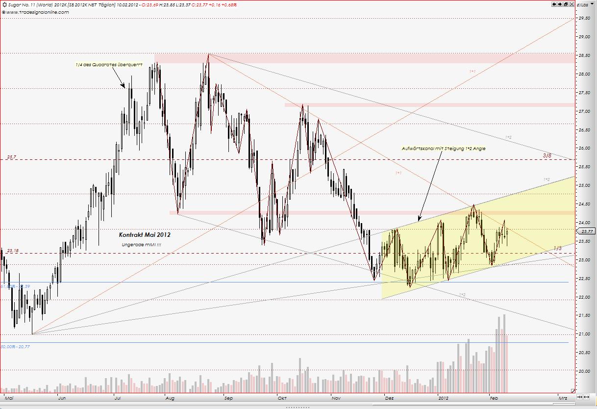Die Zuckerhausse kommt 484759