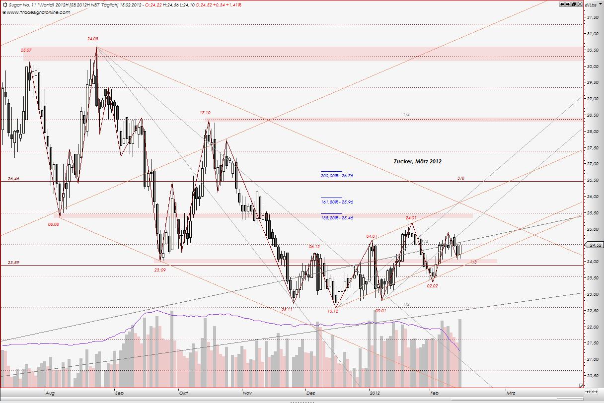 Die Zuckerhausse kommt 486308