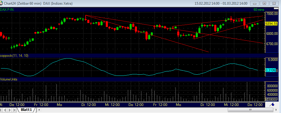 Elliott Wave DAX daily 489996