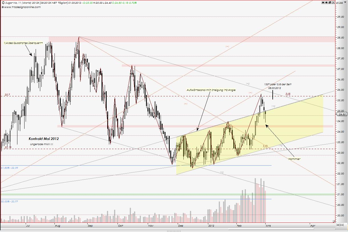 Die Zuckerhausse kommt 490424