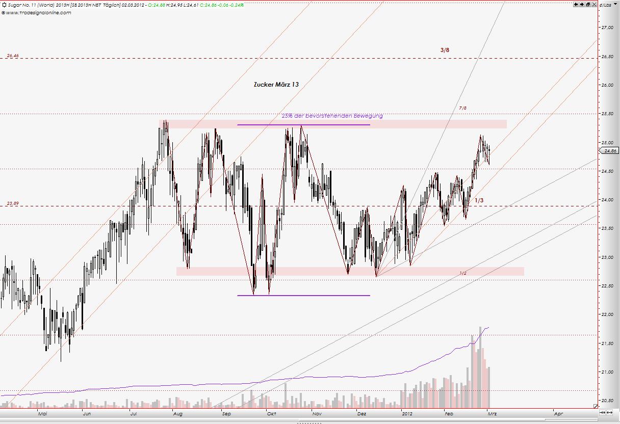 Die Zuckerhausse kommt 490606