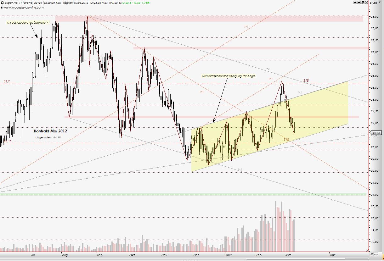 Die Zuckerhausse kommt 492110