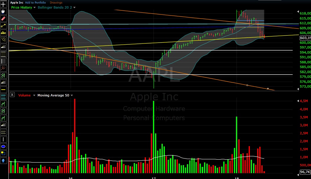 Apple Inc. - Optionen & Derivate 502057
