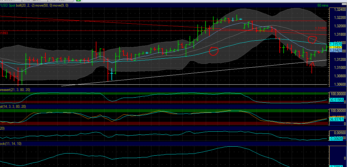 QV ultimate 2012 503511