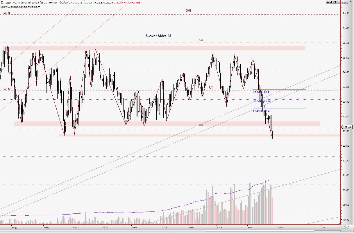 Die Zuckerhausse kommt 504685