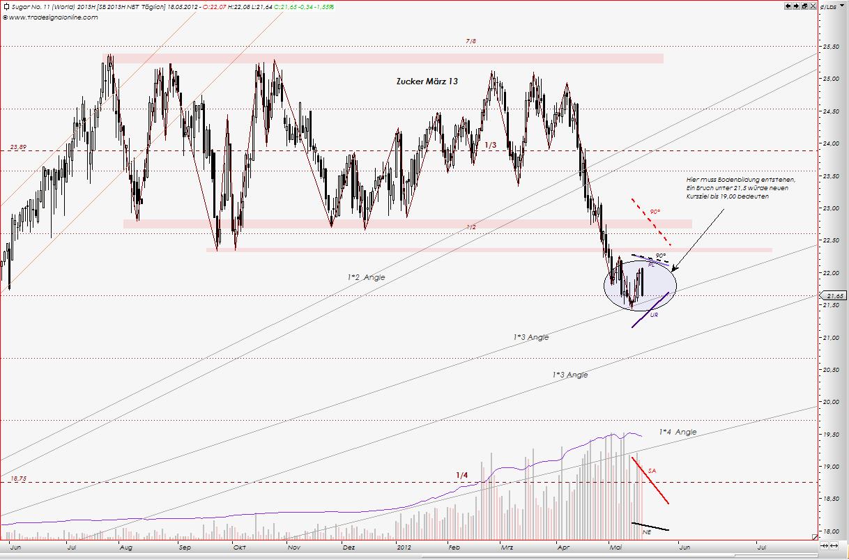 Die Zuckerhausse kommt 509392
