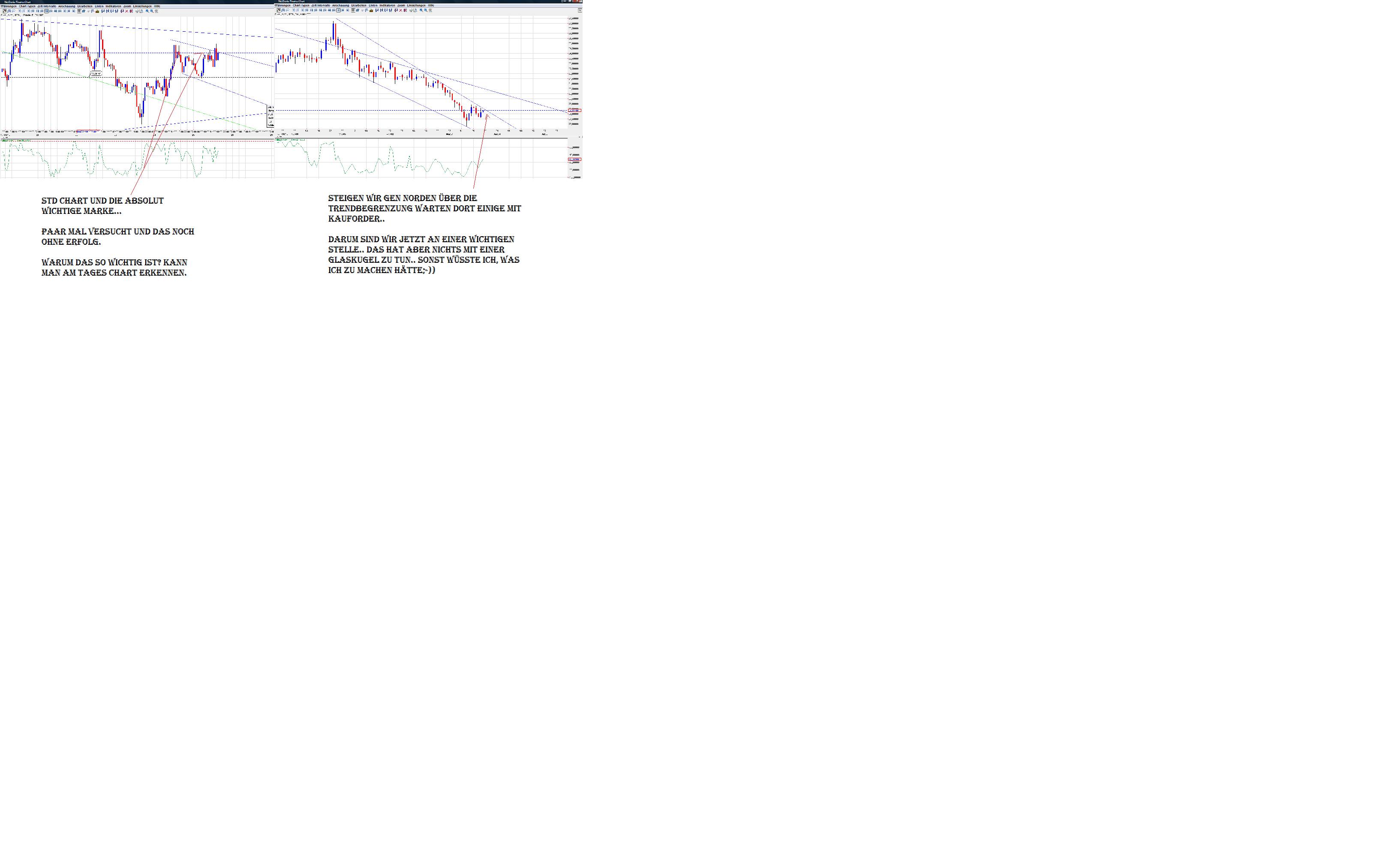 Thread für Papiertiger 510892