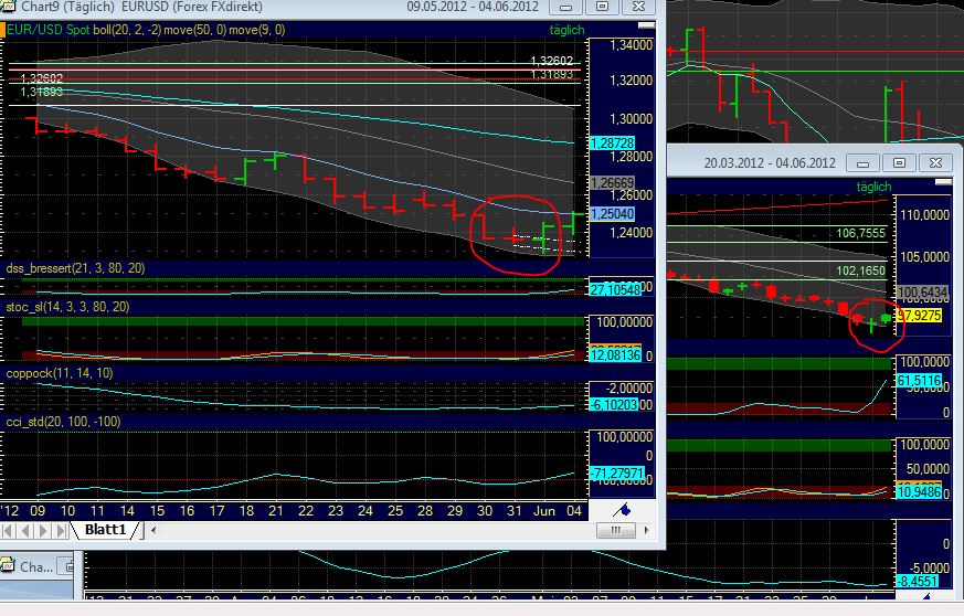Antizykliker-Thread - v2.0 513106