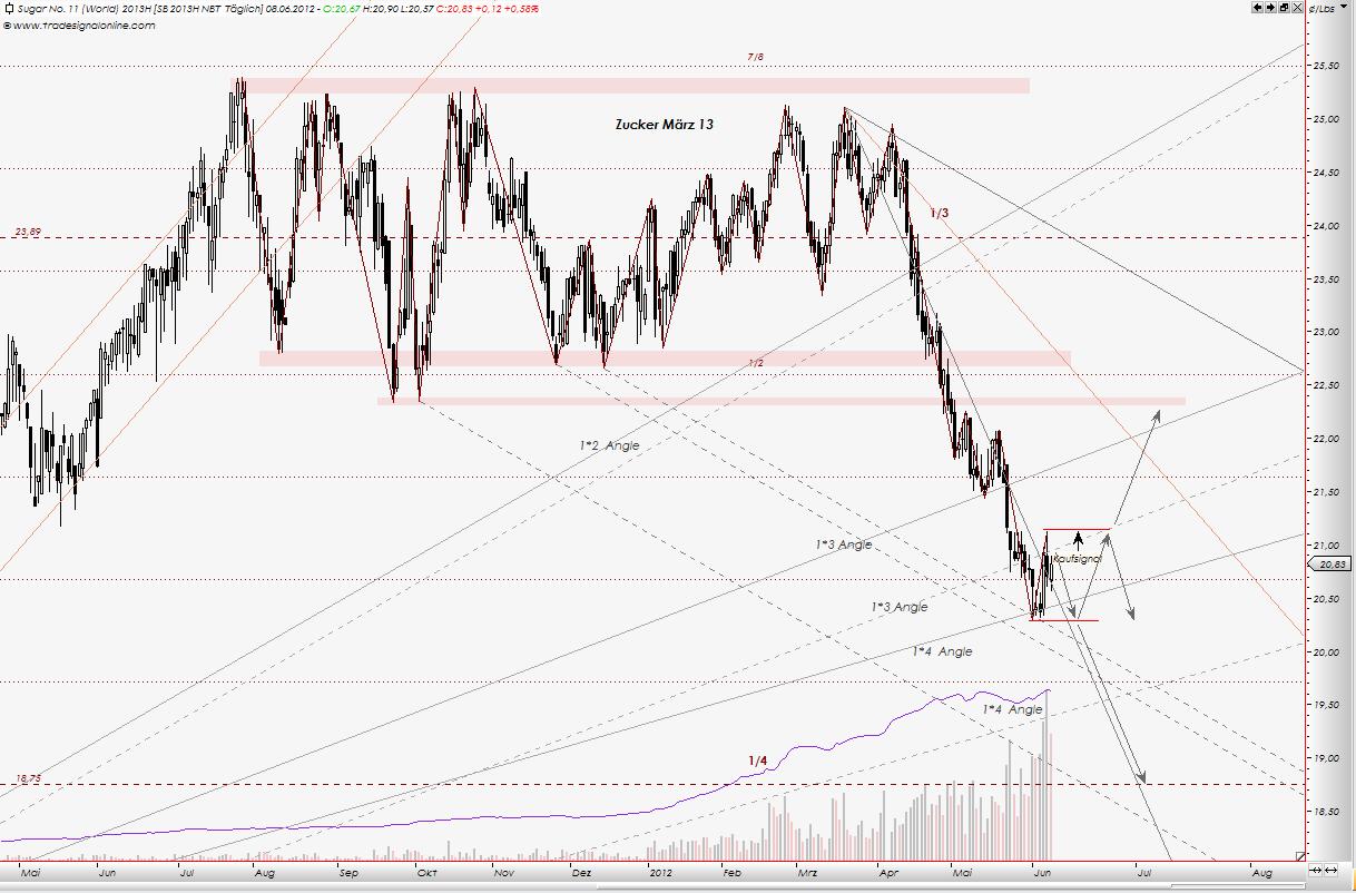 Die Zuckerhausse kommt 514413