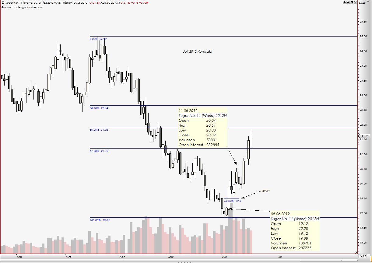 Die Zuckerhausse kommt 517142