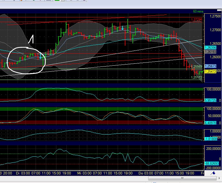 BB-trading 517178